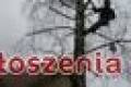 Przycinka drzew 0-510-342-592