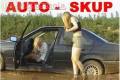 Auto skup