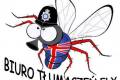 Tumaczenia z i na Jzyk Angielski Biuro Tumacze Fly