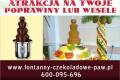 Wynajem Fontann Czekoladowych Warszawa Cae Woj