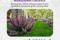 Opieka nad grobami Warszawa i okolice - sprztanie i dekoracja grobu